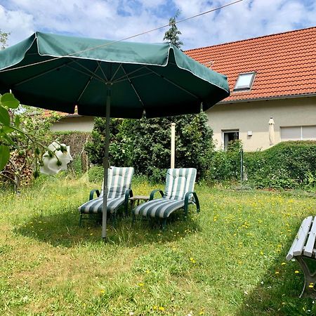 Grosse Ferienwohnung Mit Loggia Und Garten In Cottbus Exterior foto